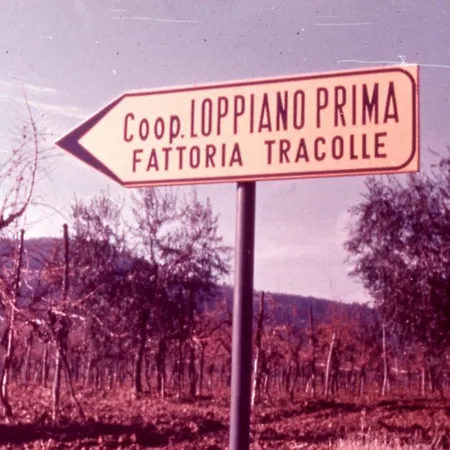 Agriturismo Fattoria Di Loppiano Regina Mundi *
